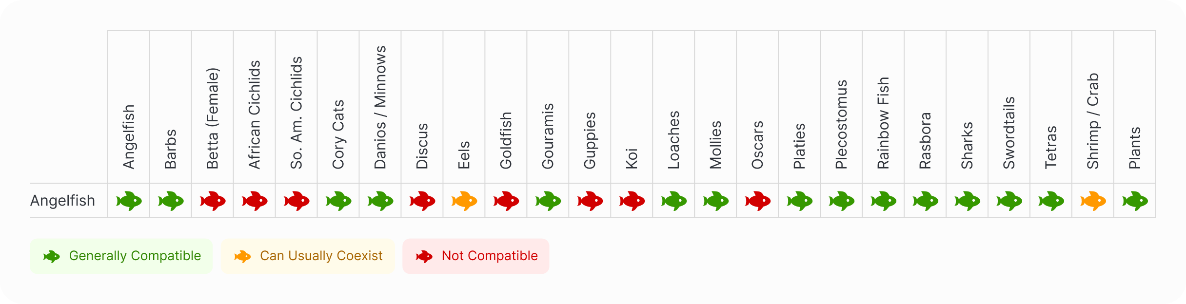 Angelfish | Black Angel Compatibility Chart