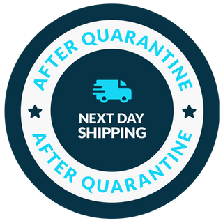 next day shipping