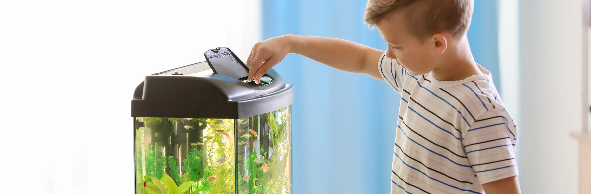 Discover the best hardy freshwater fish for kids and first-time fishkeepers