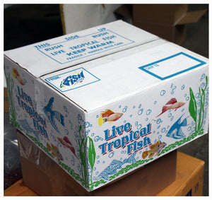 How We Pack/Ship Freshwater Aquarium Fish