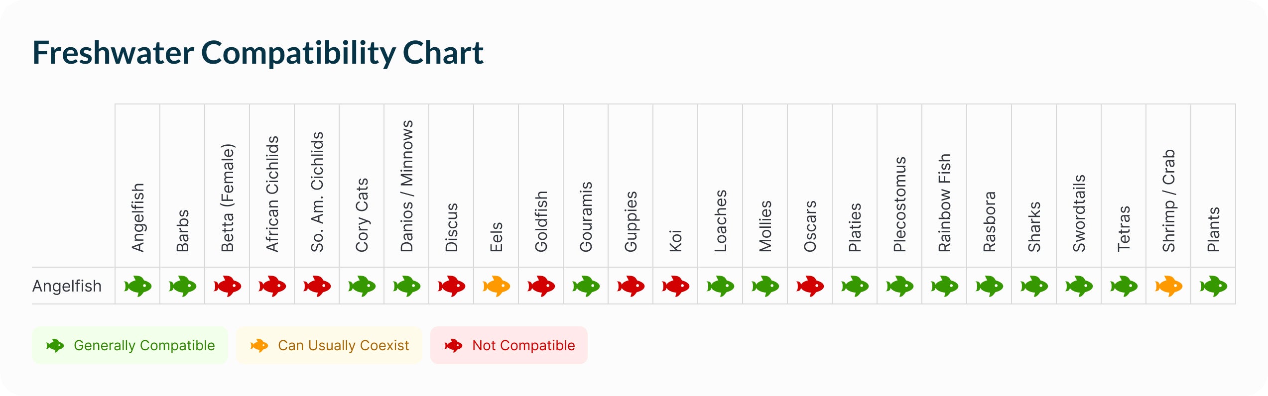 Angelfish | Black Angel Compatibility Chart