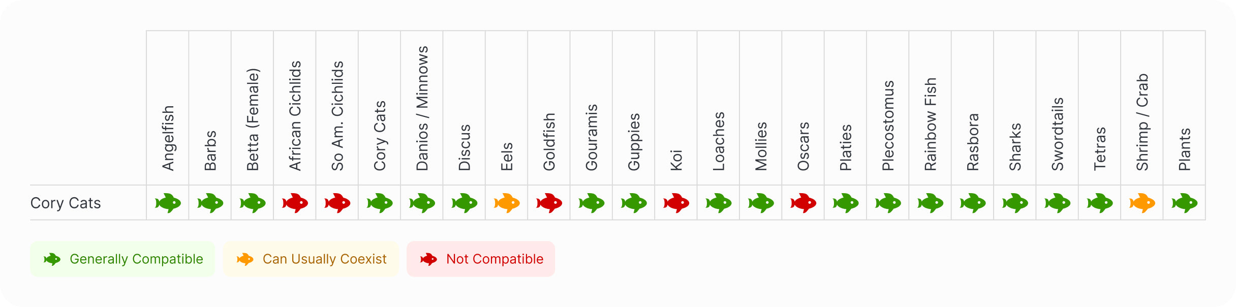 Catfish | Striped Raphael Catfish Compatibility Chart