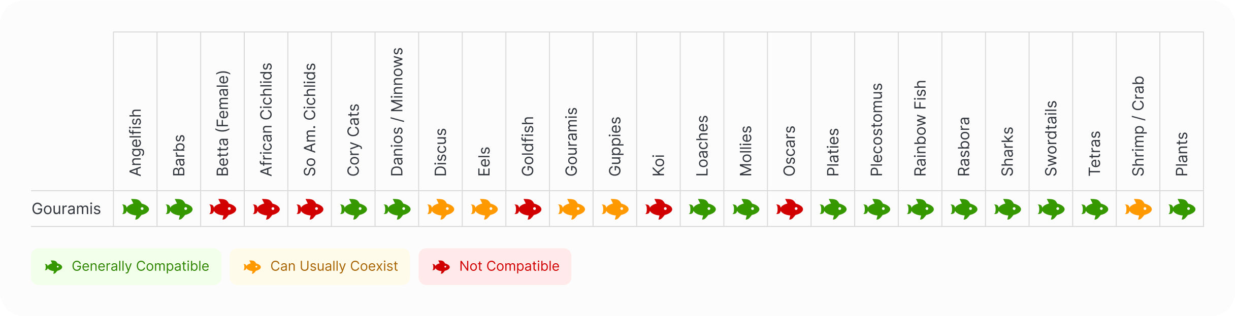Gourami | Neon Dwarf Gourami Compatibility Chart
