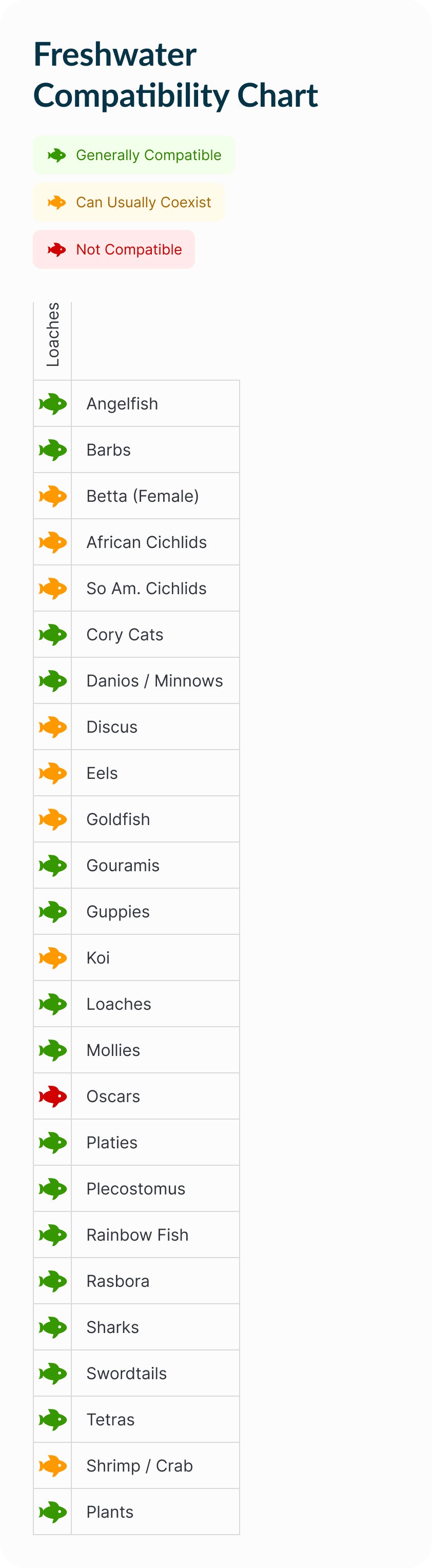 Loaches | Hi Fin Banded Loach Compatibility Chart (Mobile)