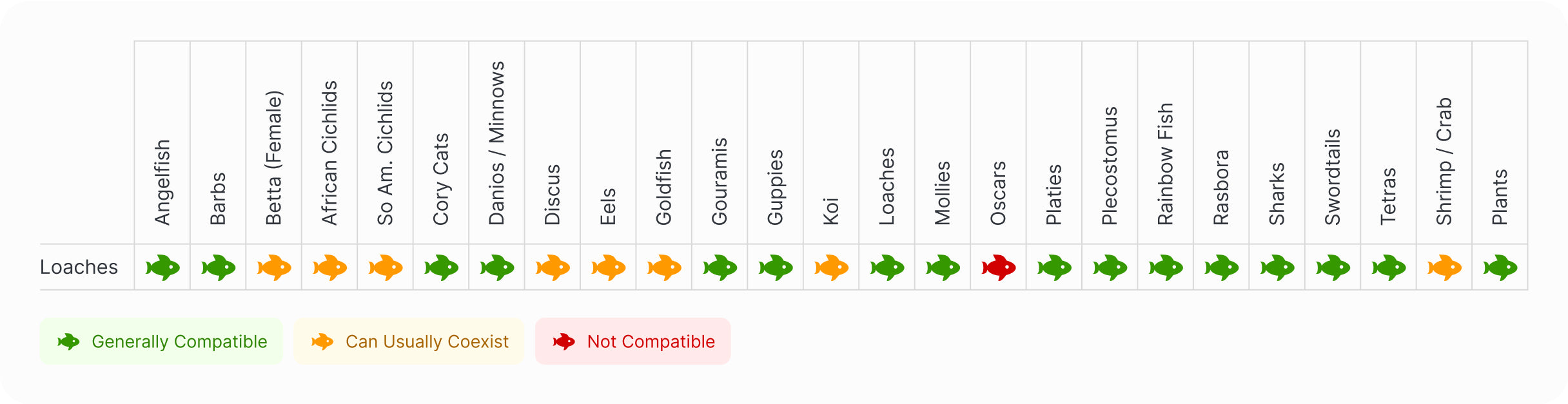 Loaches | Clown Loach Compatibility Chart