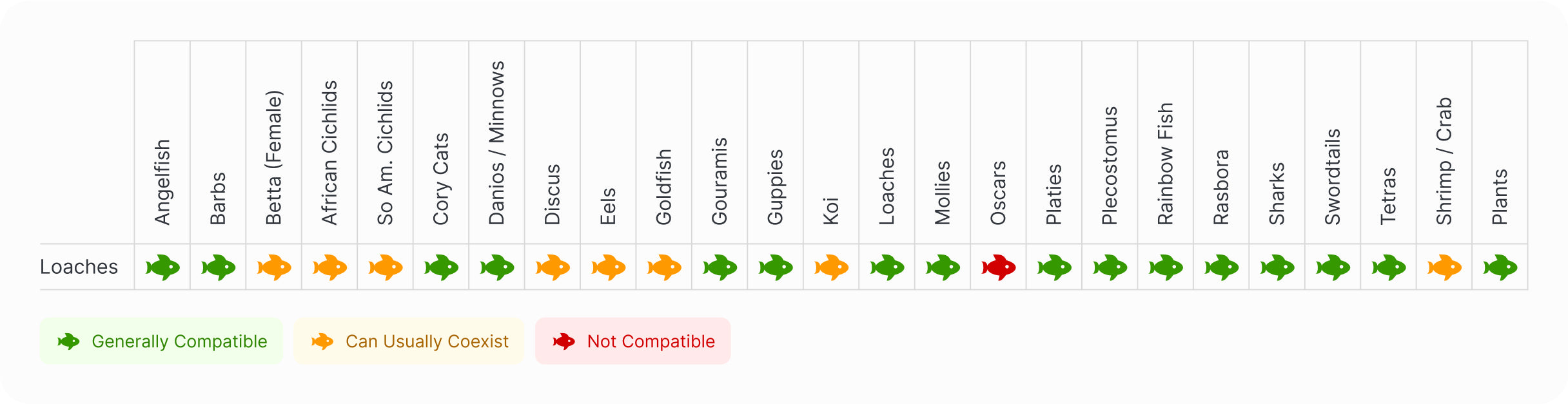 Loaches | Kuhli Loach Compatibility Chart