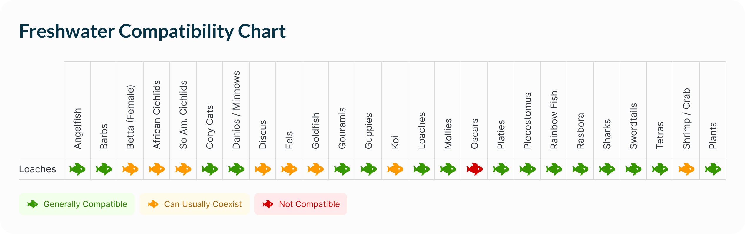 Loaches | Hi Fin Banded Loach Compatibility Chart