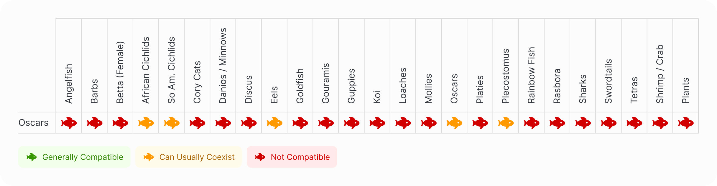 South American Cichlid | Albino Ruby Red Oscar Compatibility Chart