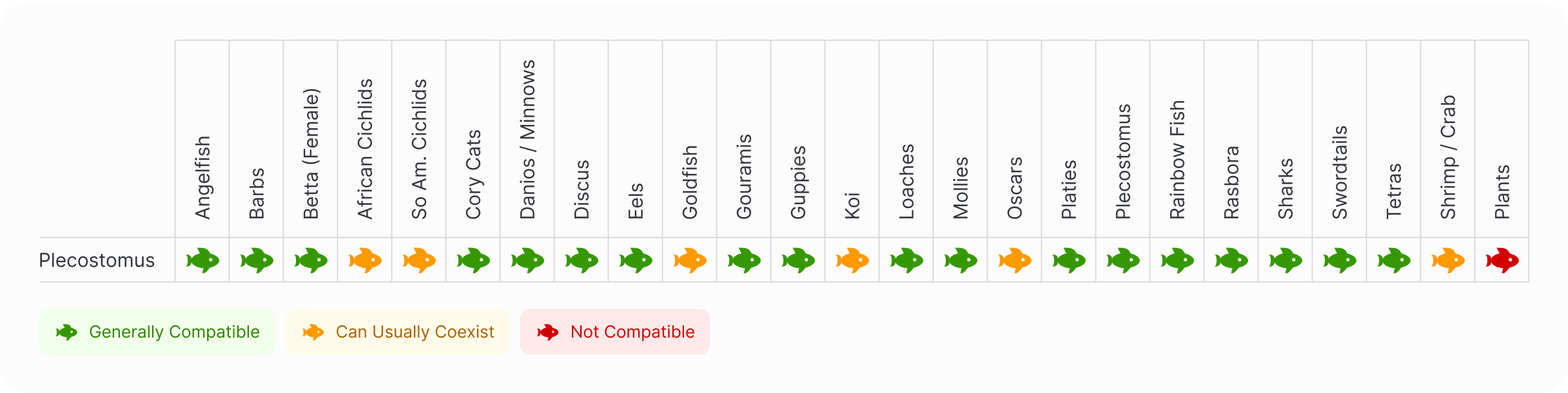 Plecostomus | Common Plecostomus Compatibility Chart