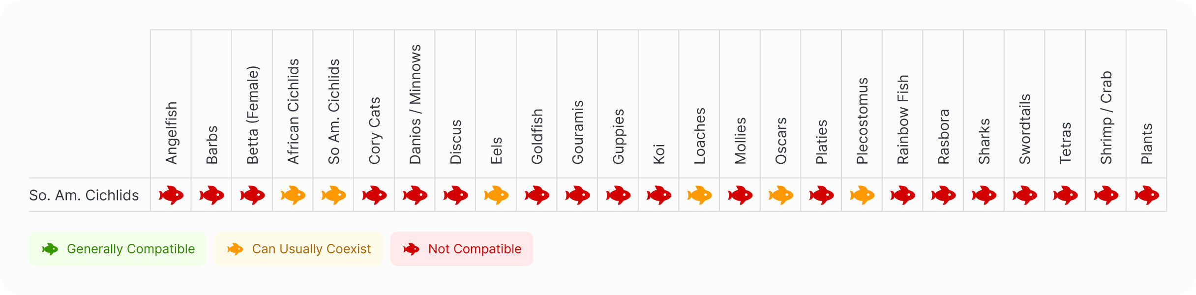 Central American Cichlid | Electric Blue Jack Dempsey Compatibility Chart