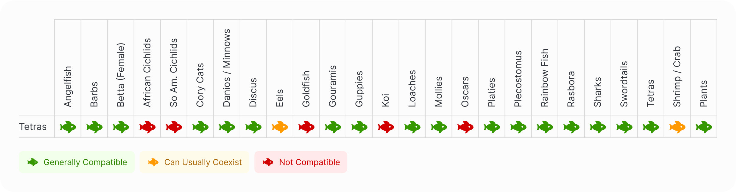 Tetra | Black Neon Tetra Compatibility Chart